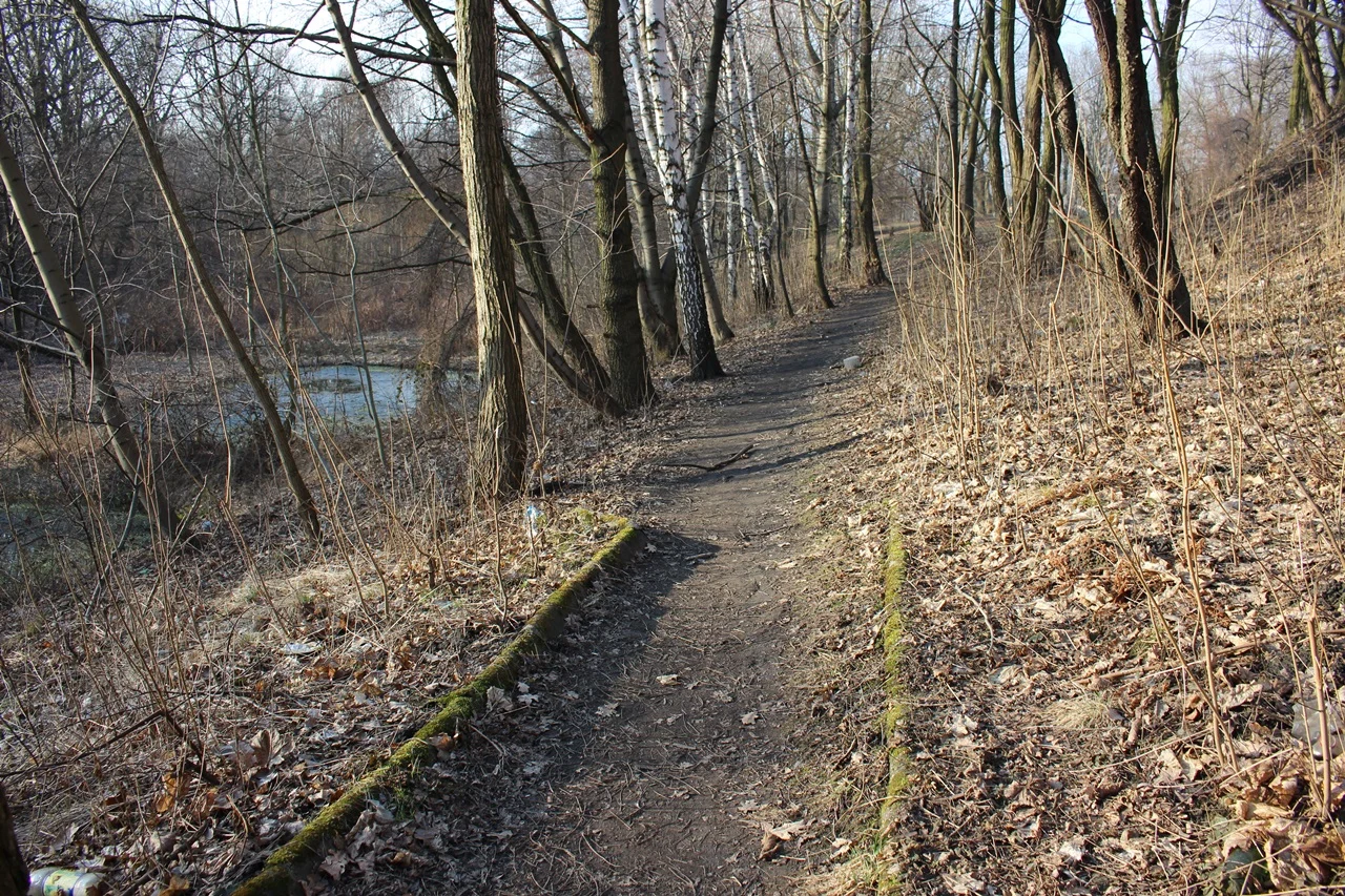 Dolina będzie przywrócona naturze