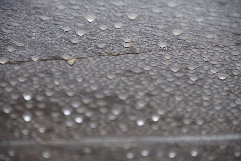 Zamiast przejściem, woleli przechodzić na peron przez tory