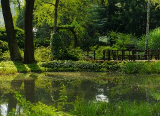 Miejski Ogród Botaniczny