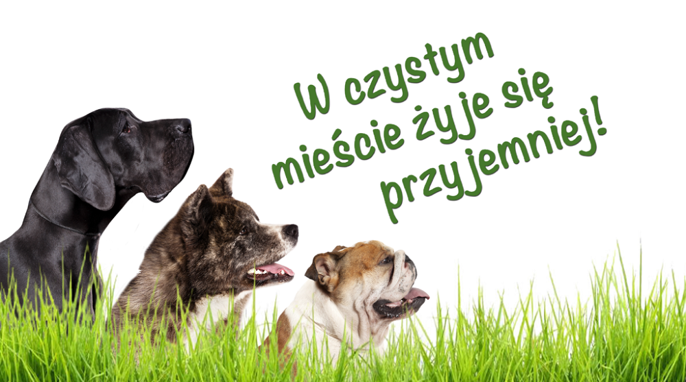 Wiosenna akcja Straży Miejskiej i piekarskiej Policji