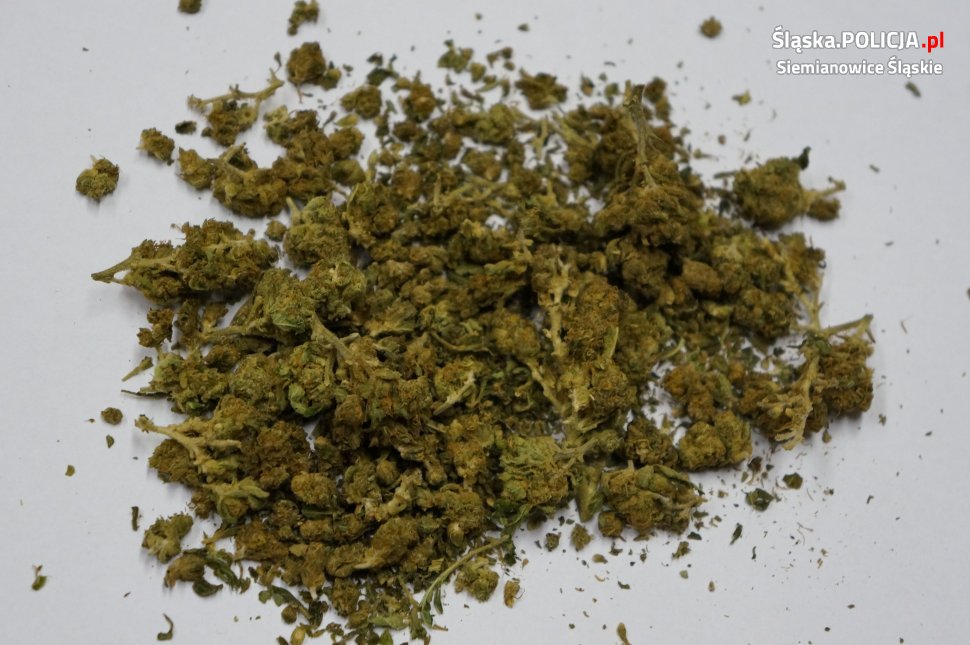 Z miłości chciała zniszczyć narkotyki, aby uratować wybranka