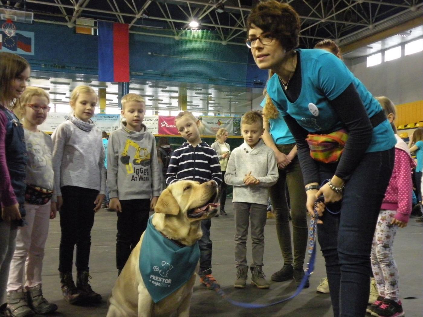 10. Chorzowski Festiwal Nauki za nami