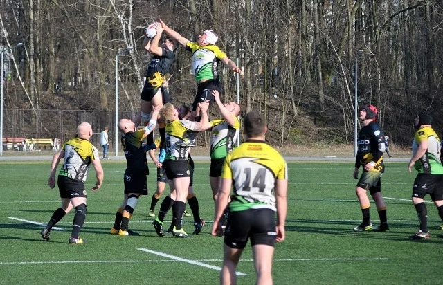 Dziki lepsze od Gryfów!