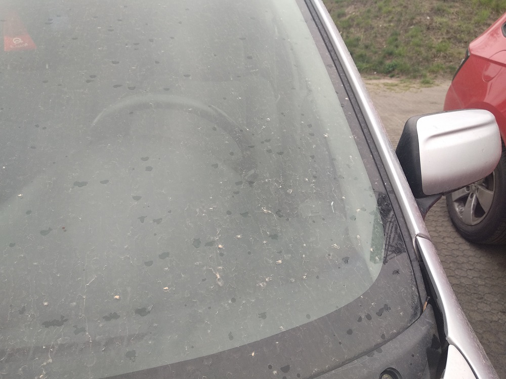 Żółty nalot na samochodach i oknach - to pył z Sahary!