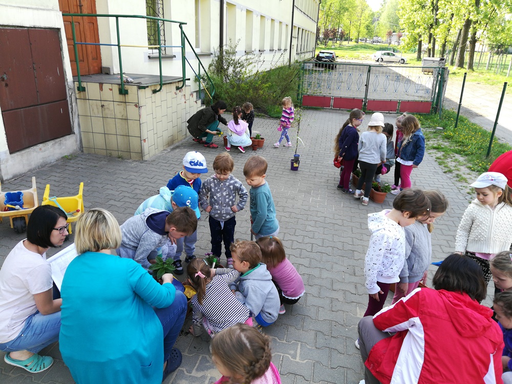 Powstał kolejny ogródek społeczny w Kochłowicach!