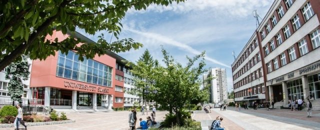 Uniwersytet Śląski