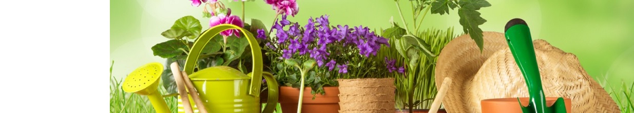 GLOSTER Centrum Ogrodnicze