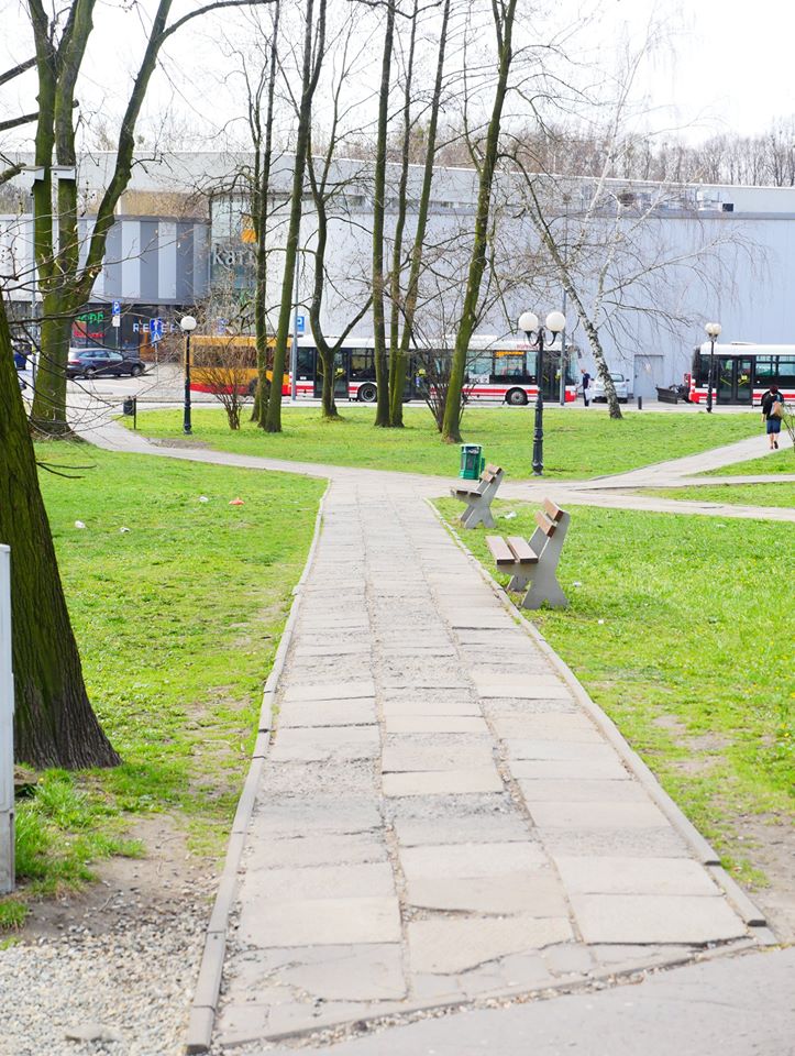 SKM rozpoczęły remont ścieżek w Parku Miejskim