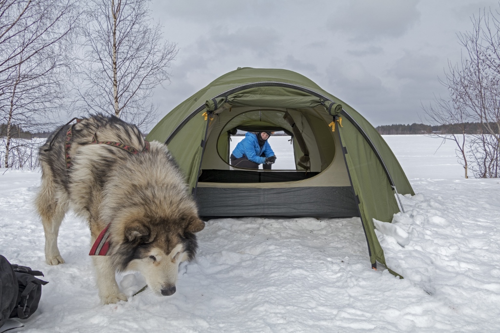 Prestiżowa nagroda National Geographic dla pary z Mikołowa?
