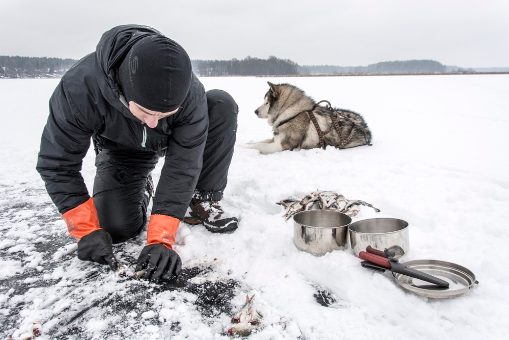 Prestiżowa nagroda National Geographic dla pary z Mikołowa?