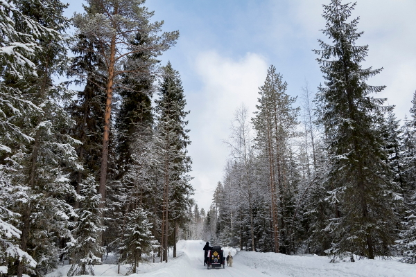 Prestiżowa nagroda National Geographic dla pary z Mikołowa?