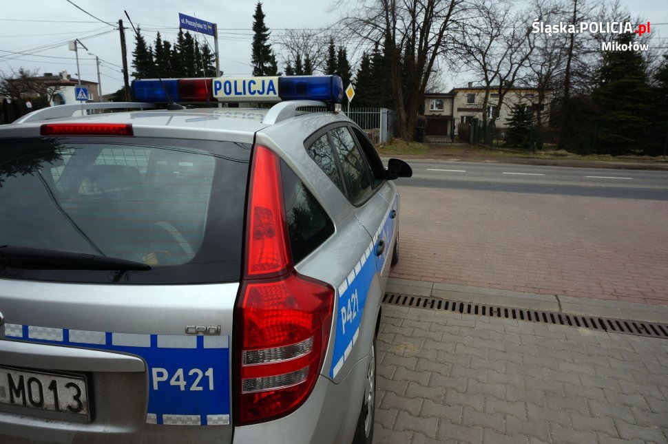 Podsumowanie działań "Nie - dla prędkości"