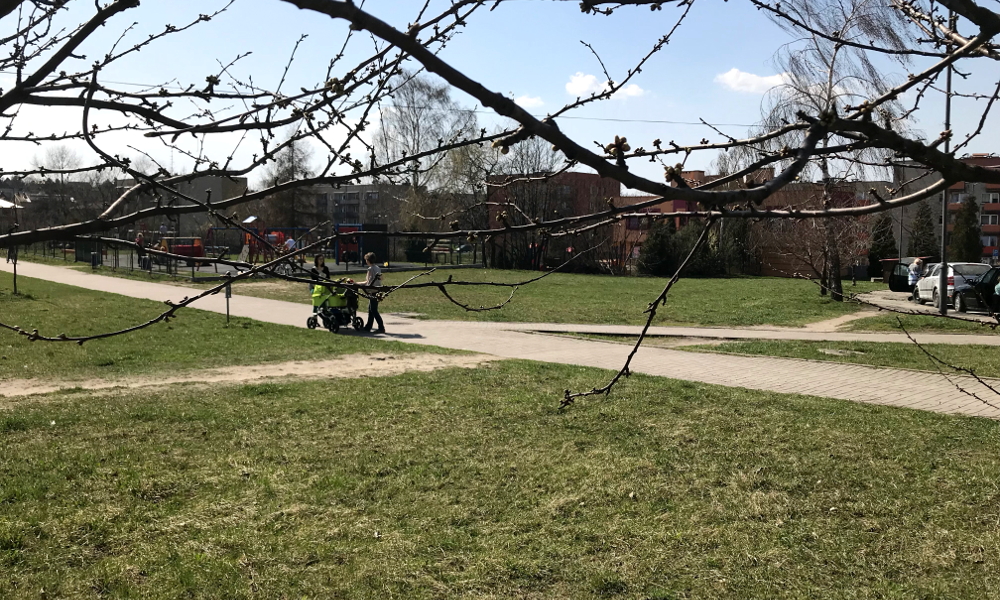 Rusza realizacja projektów III BO. Na pierwszy ogień siłowni