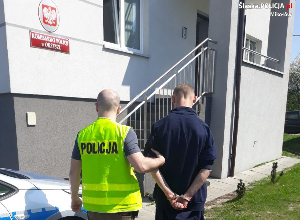 Chuligani zatrzymani za pobicie małoletnich