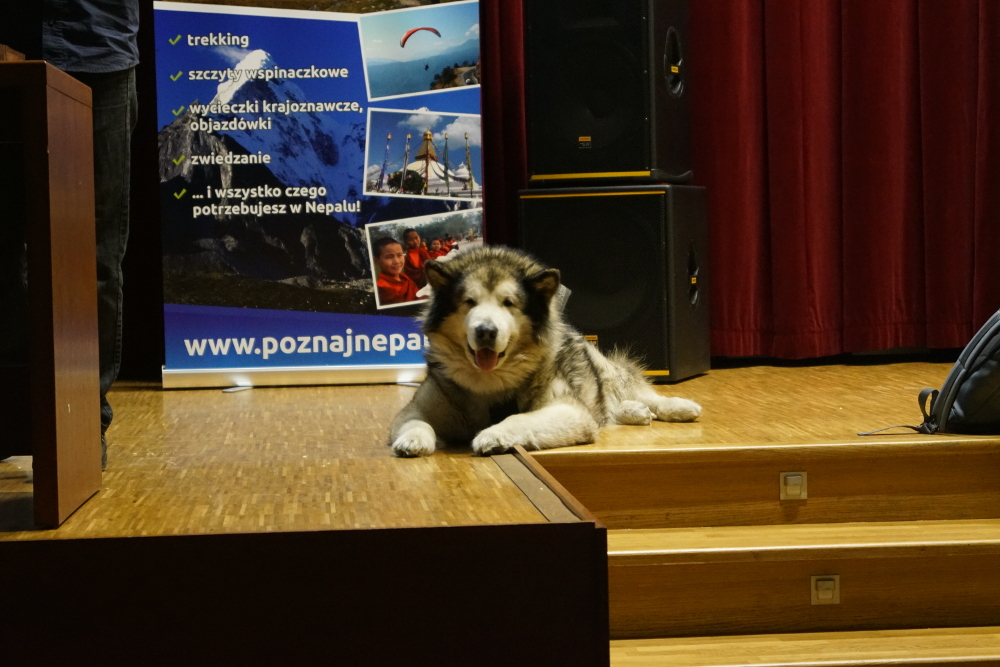 Druga edycja Rajzefiber za nami