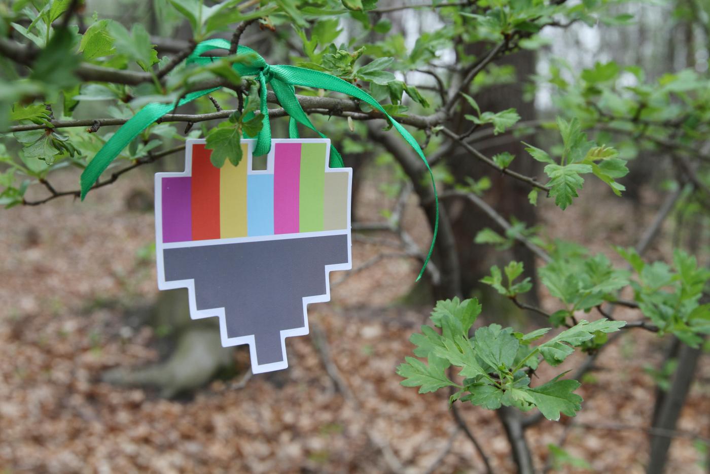 Tysiące dębów, lip i jaworów do posadzenia w sobotę