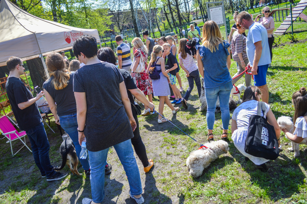 Woofstock 2018 31