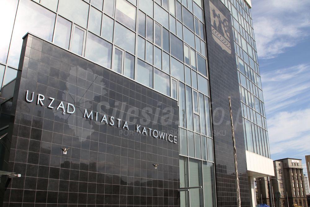 Zieloni w koalicji z Razem?