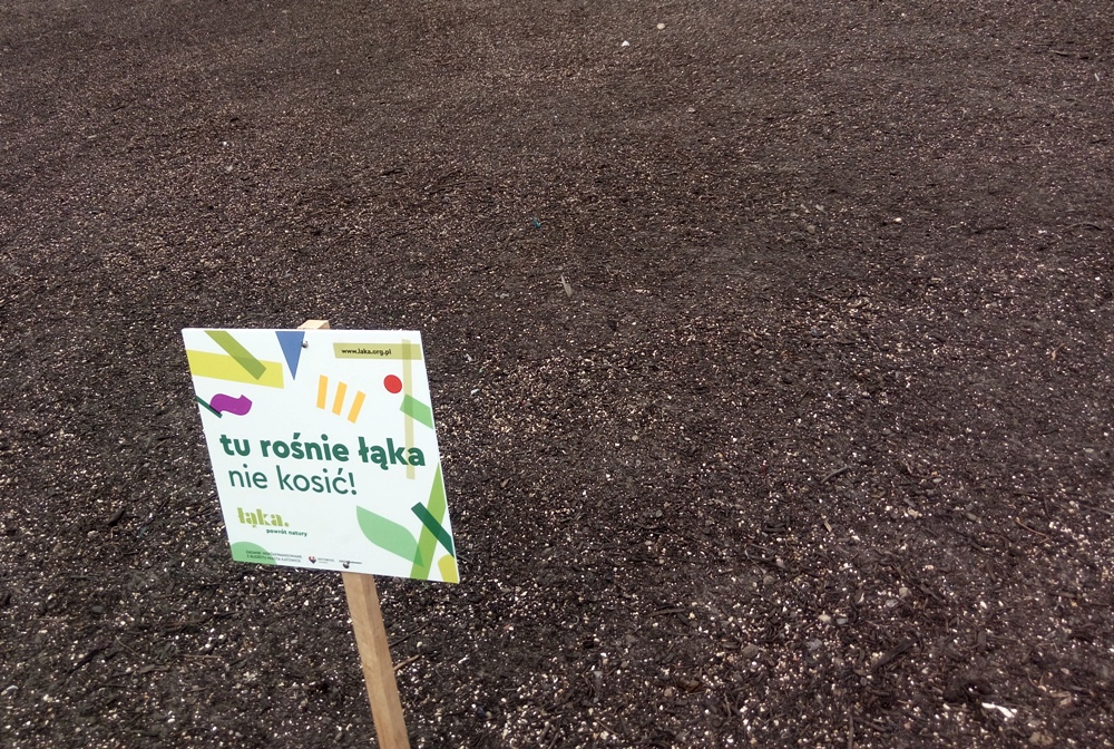Łąka centralna już zasiana!