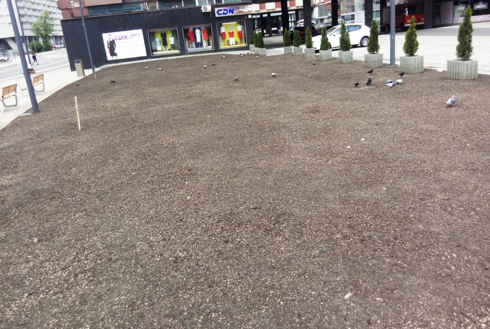 Łąka centralna już zasiana!