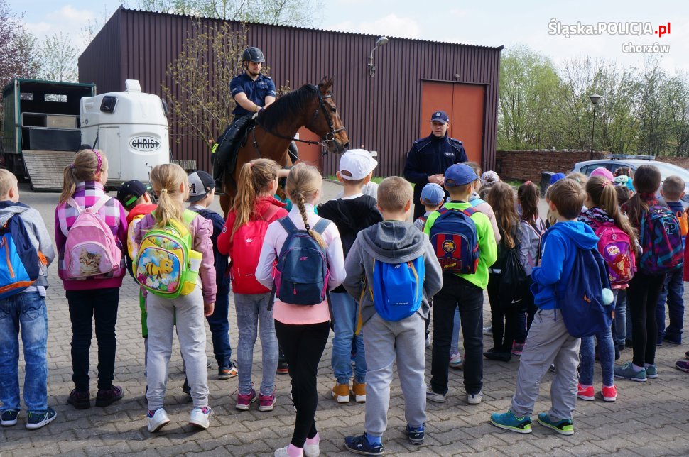 Lekcja ekologii z chorzowską policją konną