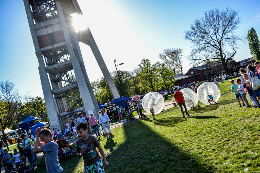 Ekologia, zabawa i muzyka irlandzka
