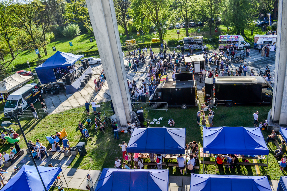 Ekologia, zabawa i muzyka irlandzka