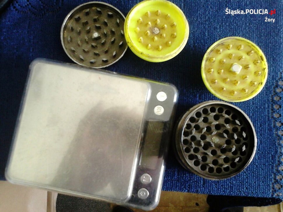 Zlikwidowali domową plantację konopii indyjskich