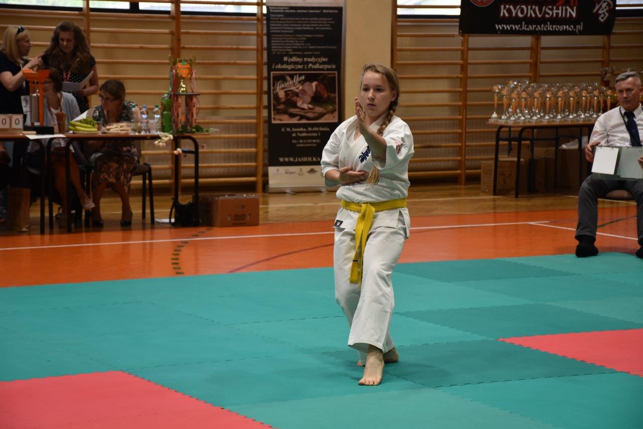 Sukcesy Rudzkiego Klubu Kyokushin Karate