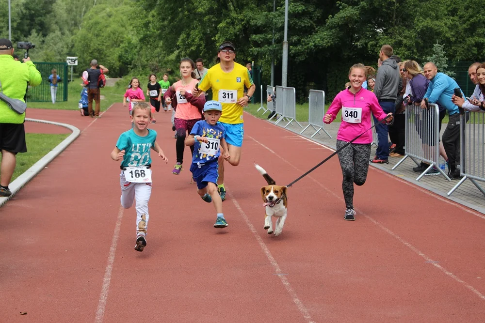 Kolejny Bieg Wiewiórki za nami!