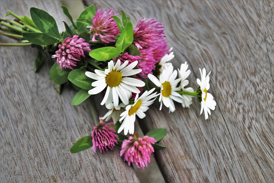 Najserdeczniejsze życzenia z okazji Dnia Matki!