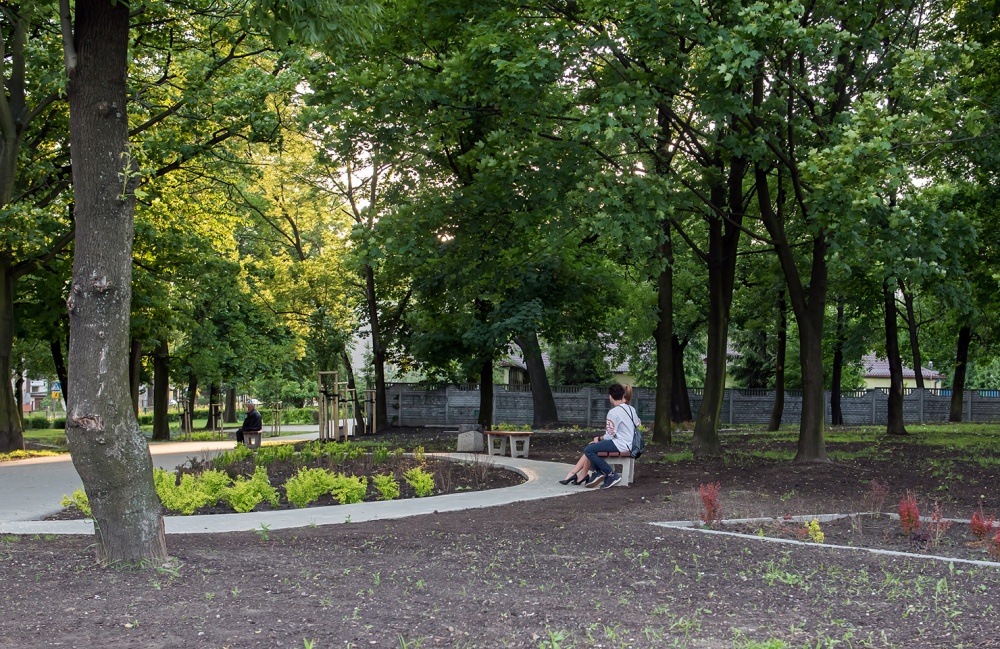 Nowe zieleńce w Szombierkach
