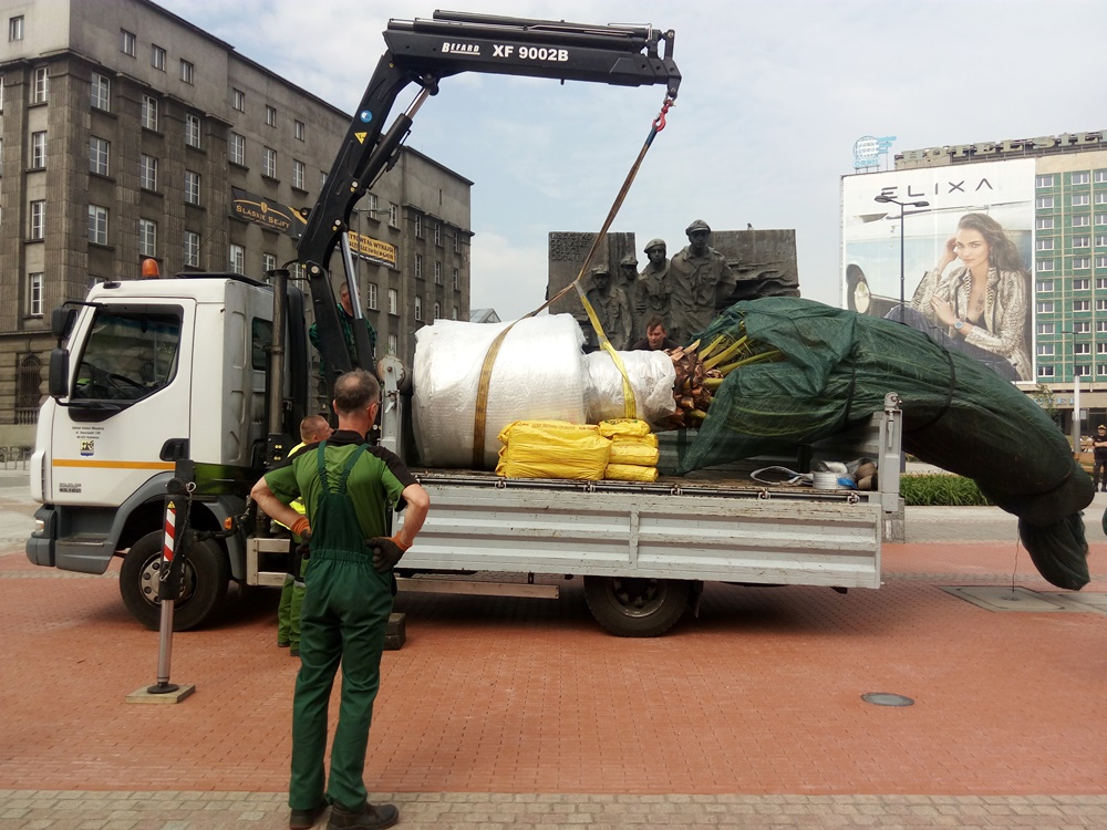 Palmy znów na rynku!