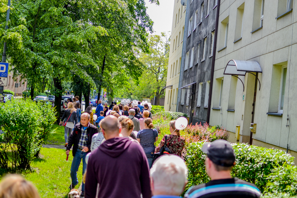 Święto Kwitnących Głogów 2017 24