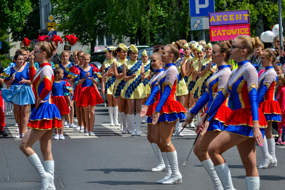 Święto Kwitnących Głogów 2017 37