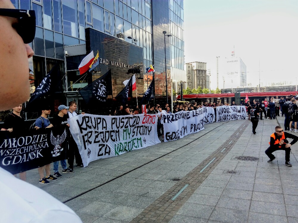 Pis-PO jedno zło. Narodowcy protestują