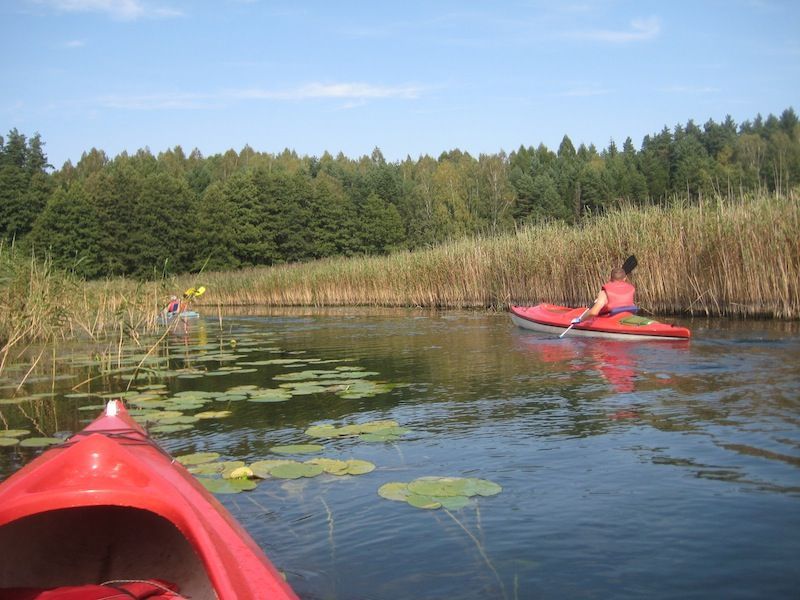 Czy warto pojechać na wczasy odchudzające w Fox Boot Camp?