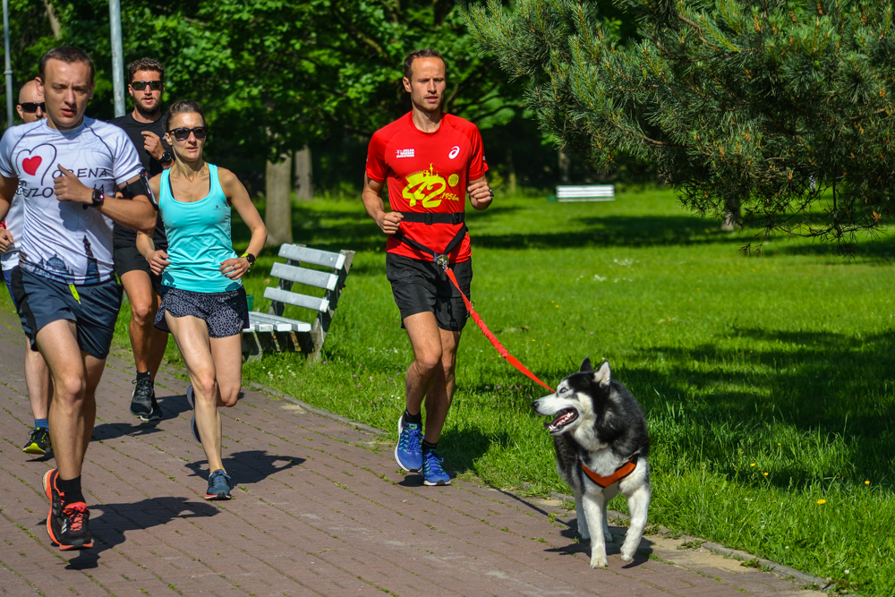 Park Run na Dzień Matki 11