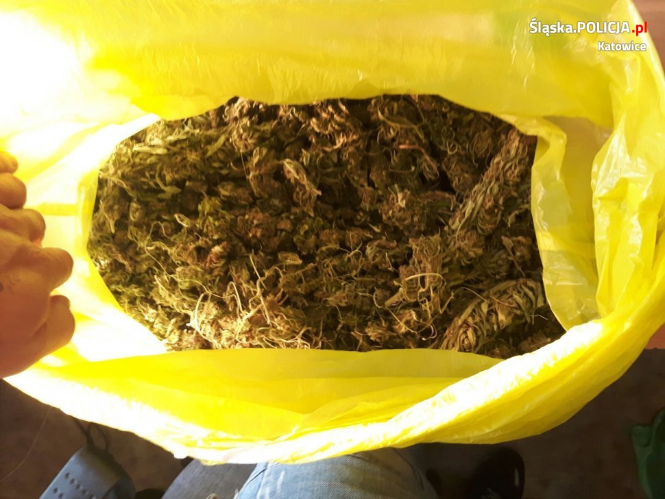 Policjanci przejęli kolejne narkotyki