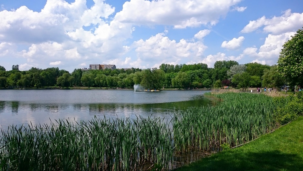 Czy Świętochłowice opustoszeją?