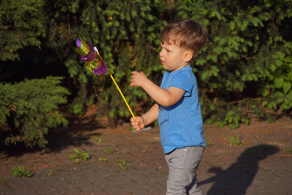 Dzielili się dobrocią na Skałce!