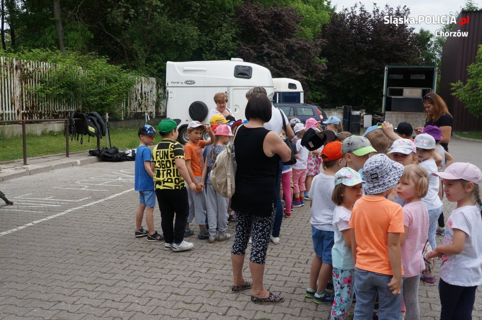 Lekcja ekologii z chorzowską policją konną
