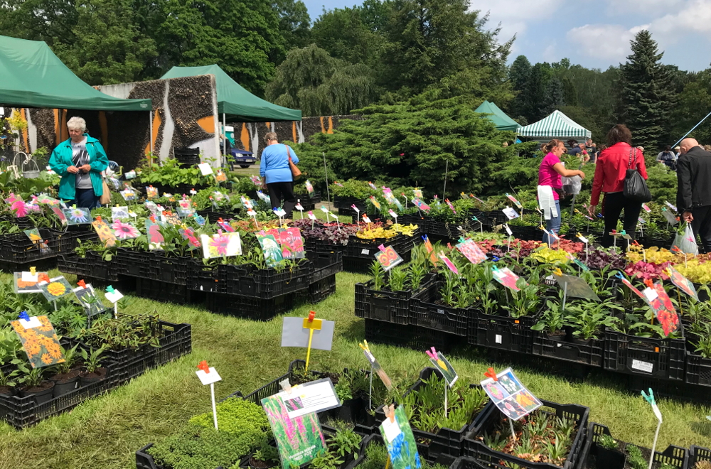Kwiatowe szaleństwo w Parku Śląskim [ZDJĘCIA]