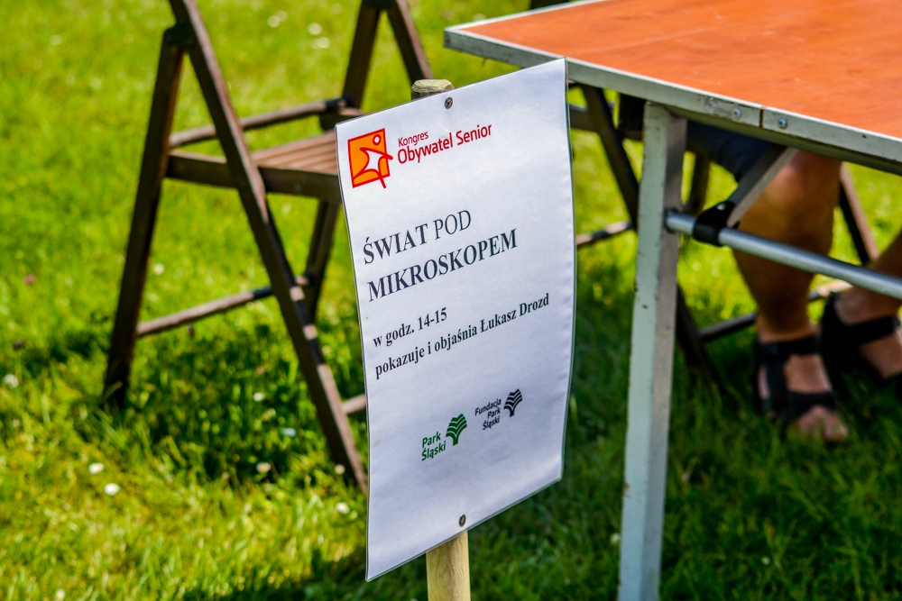 Śniadanie na Trawie 14