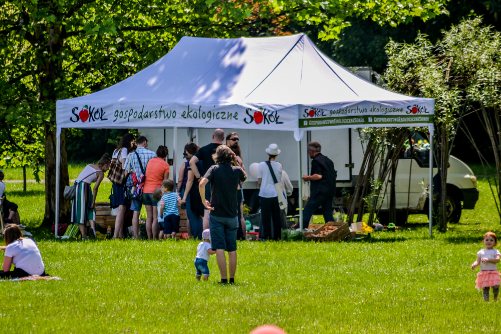 Śniadanie na Trawie 16