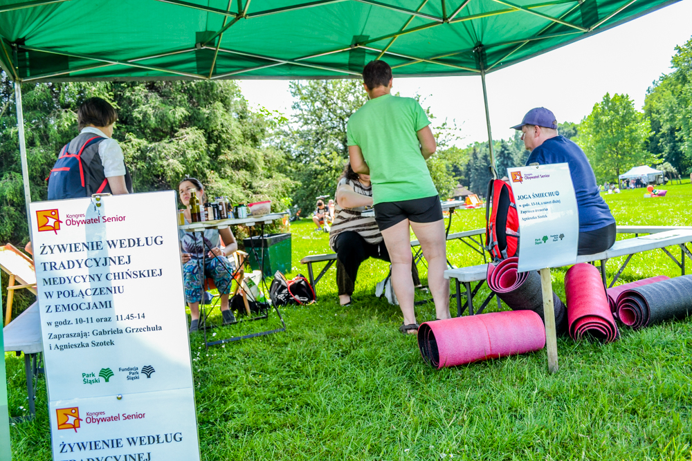 Śniadanie na Trawie 19