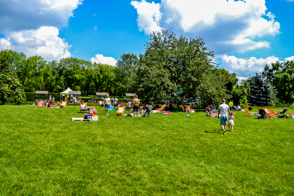 Śniadanie na Trawie 20