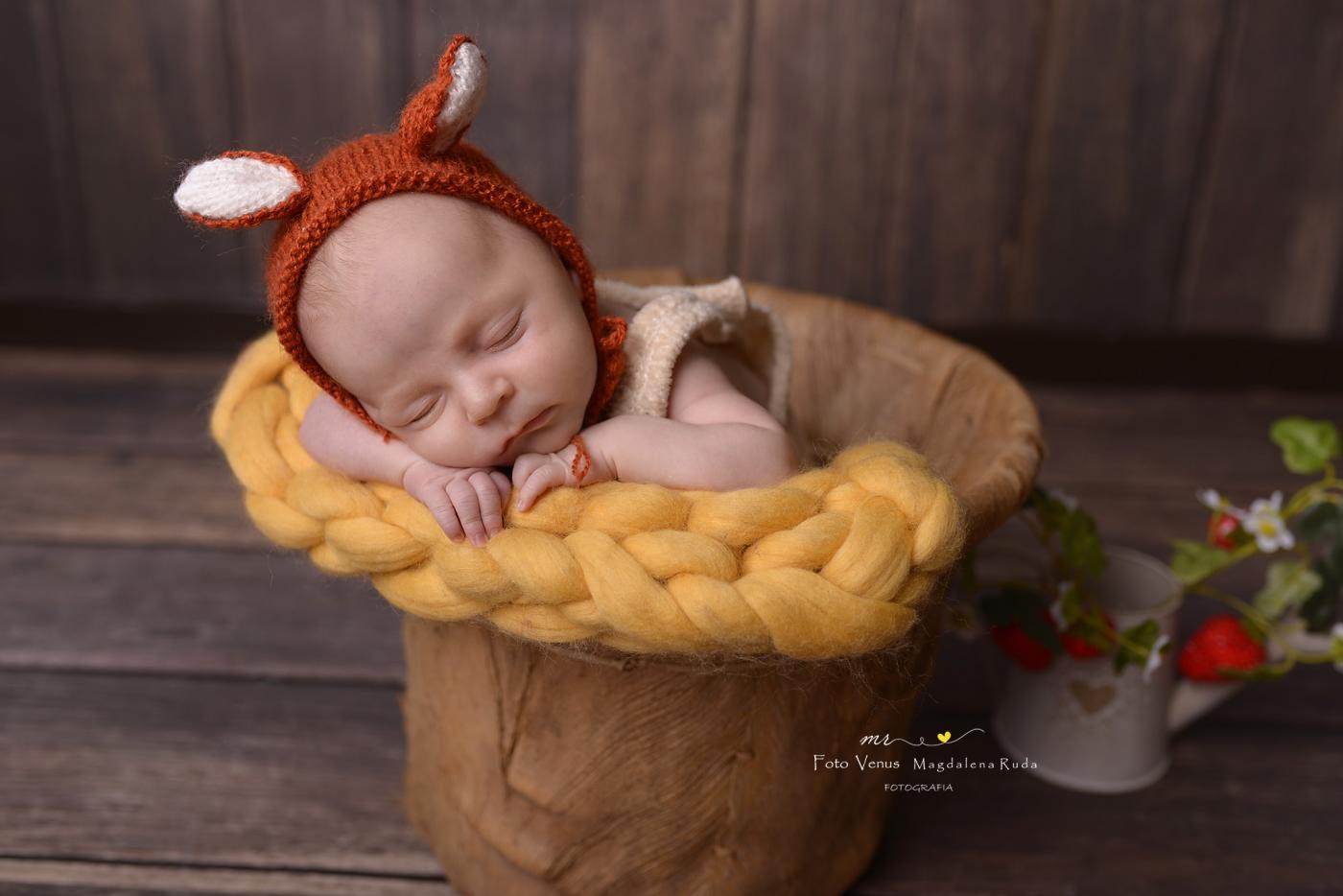 Foto Venus uchwyci Twoje wspomnienia