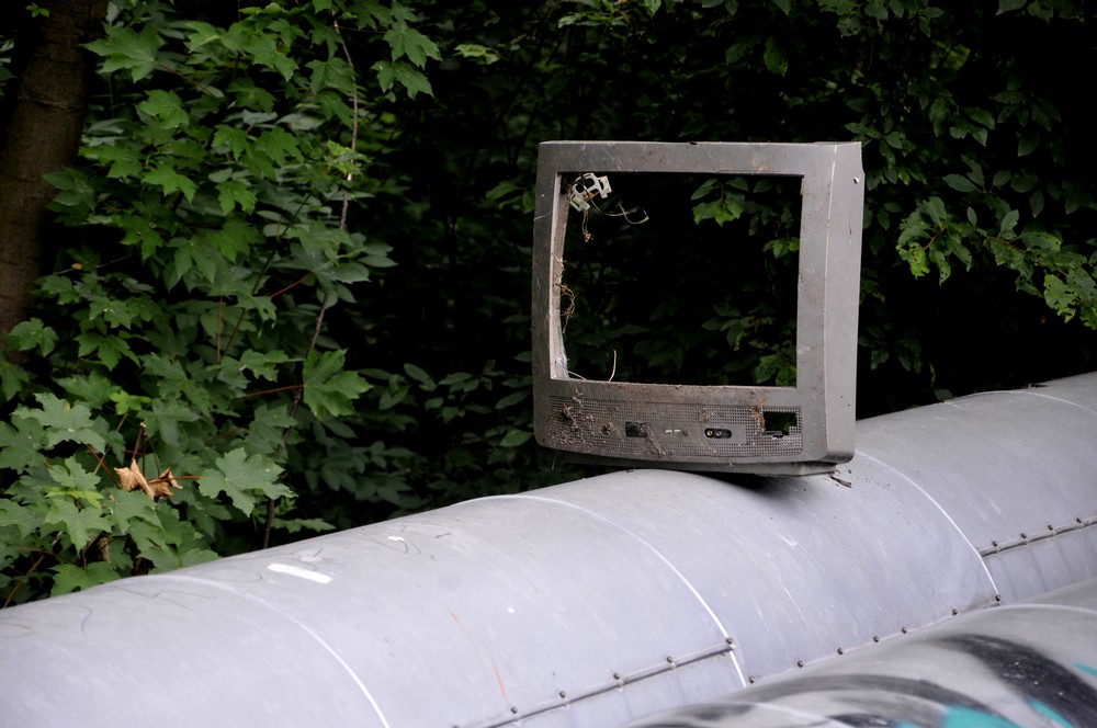 Mieszkańcy posprzątali Puszczę Kokotek