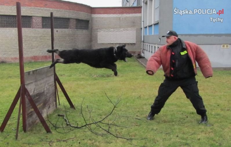 Oddaj krew na rzecz Michała